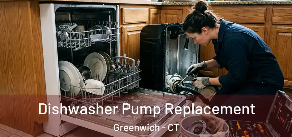  Dishwasher Pump Replacement Greenwich - CT