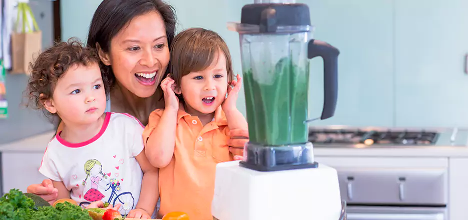 Juicer and Mixer Blender Repair in Greenwich 