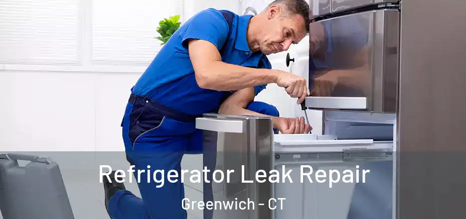  Refrigerator Leak Repair Greenwich - CT