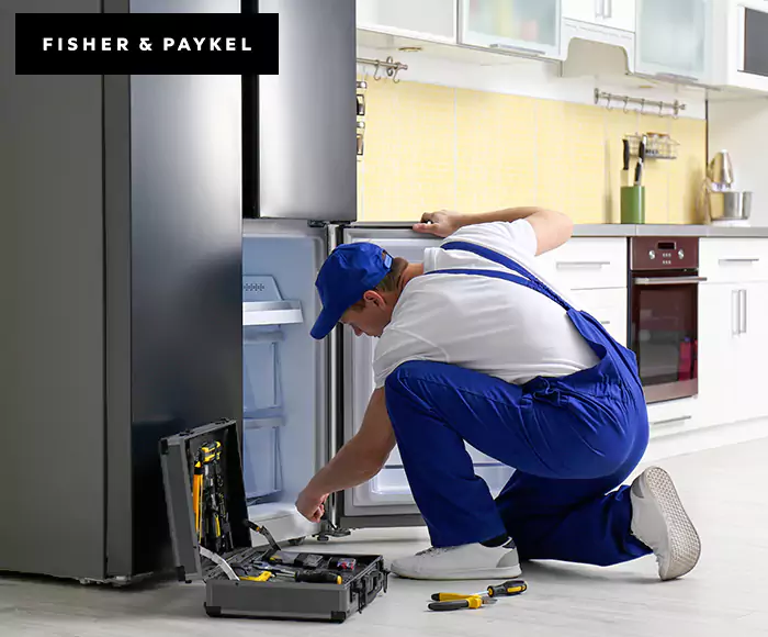 Top-Rated Fisher & Paykel Appliance Experts: Your Brand Specialist in Greenwich, CT